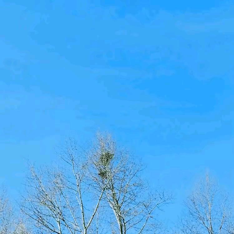 随便✨