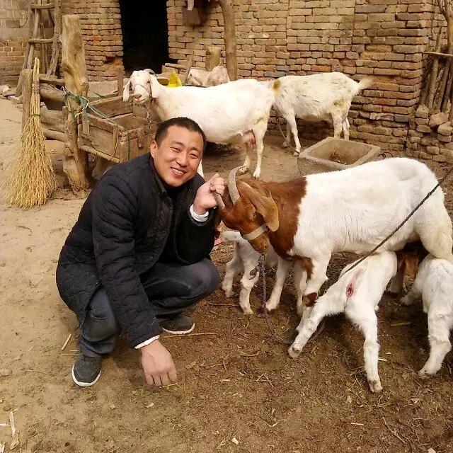 阳原历史文化传递