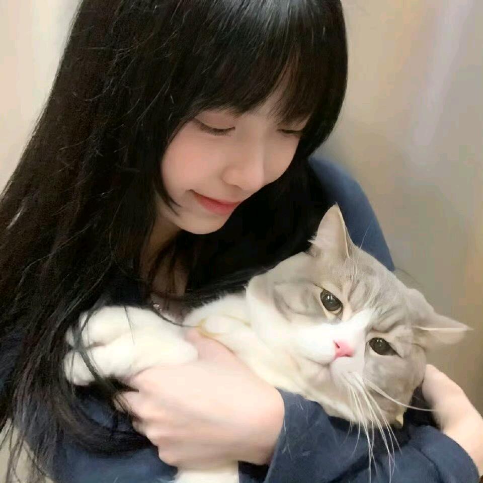 皮皮⑥年级