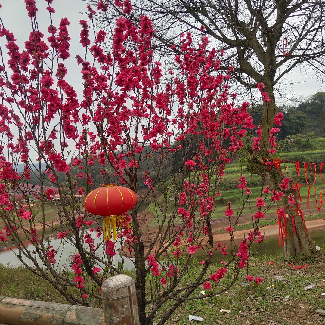 群山俊岭