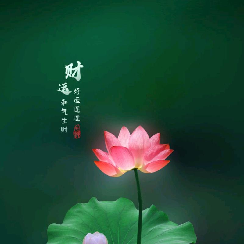 咪咪好物