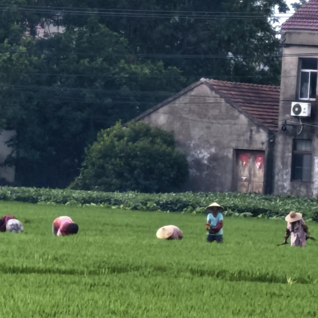 田管家
