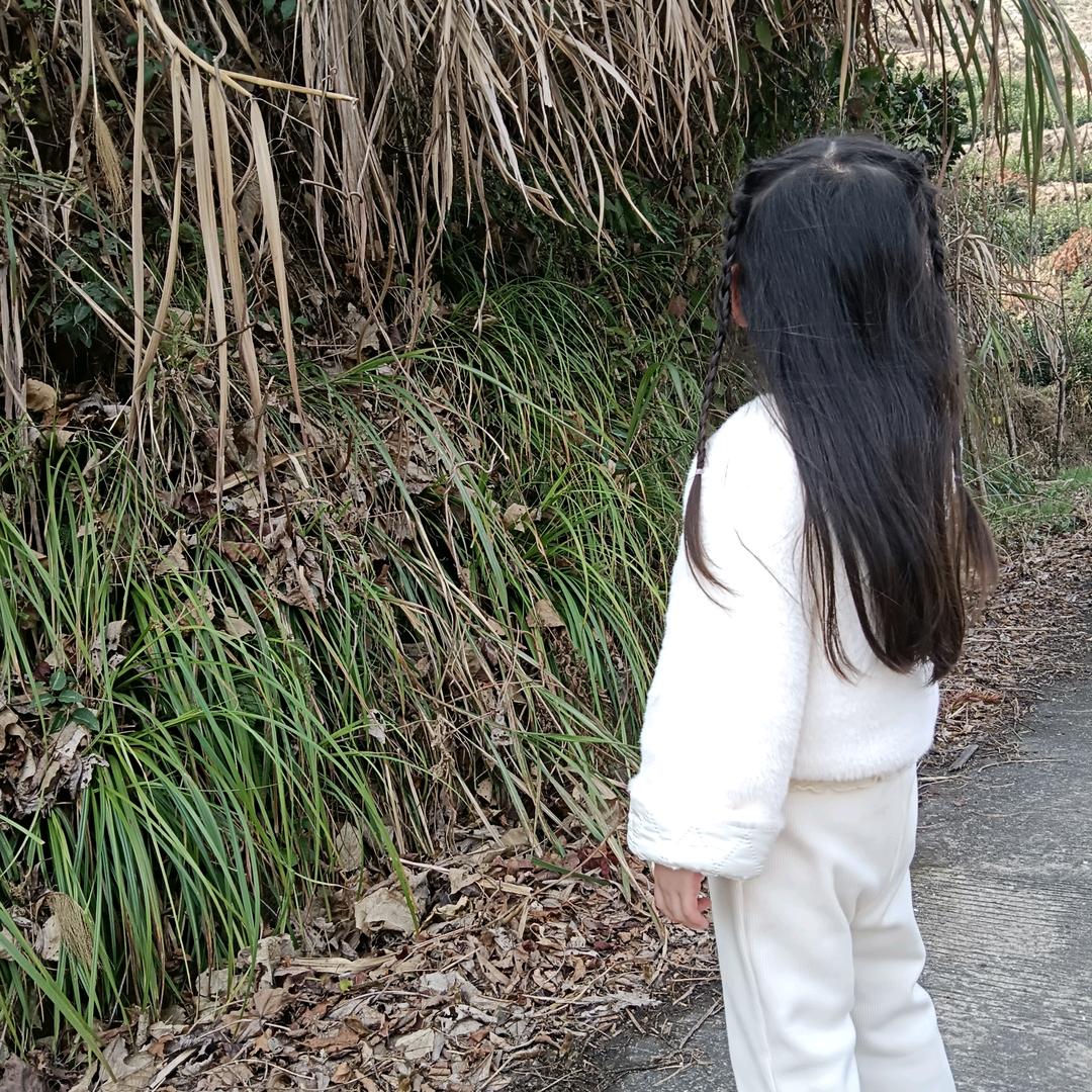 汐阳西下