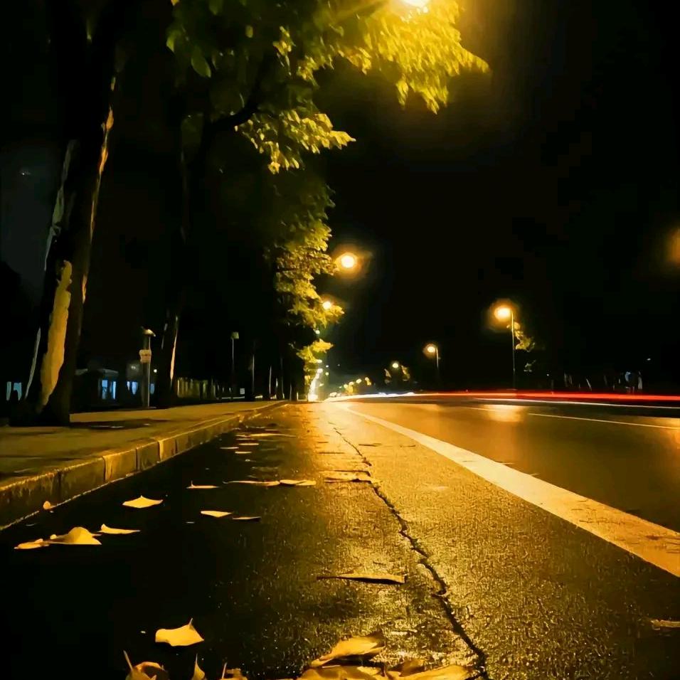 ᭄余生ᝰᩚ随心ꦿ໌