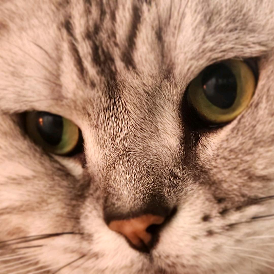 李肖强爱尚 High