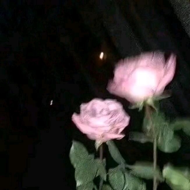 等我睡醒再说