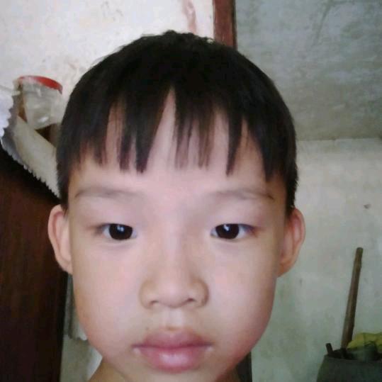 峥嵘果