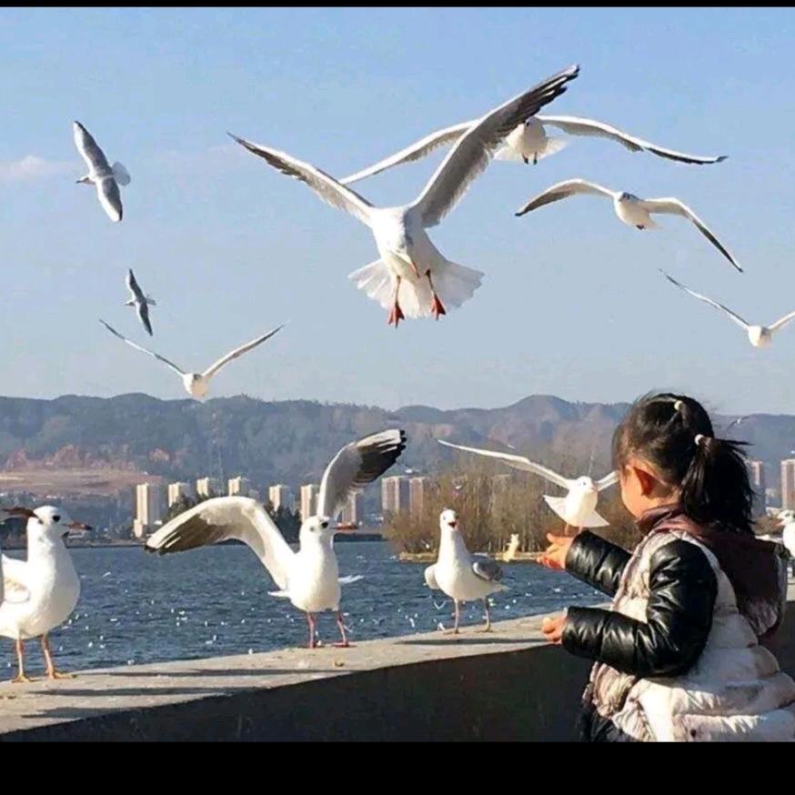 遇见