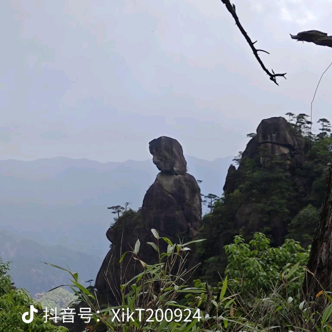 自由自在💫