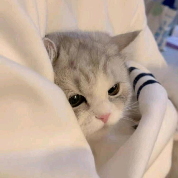 。。。。！！！！？？？？