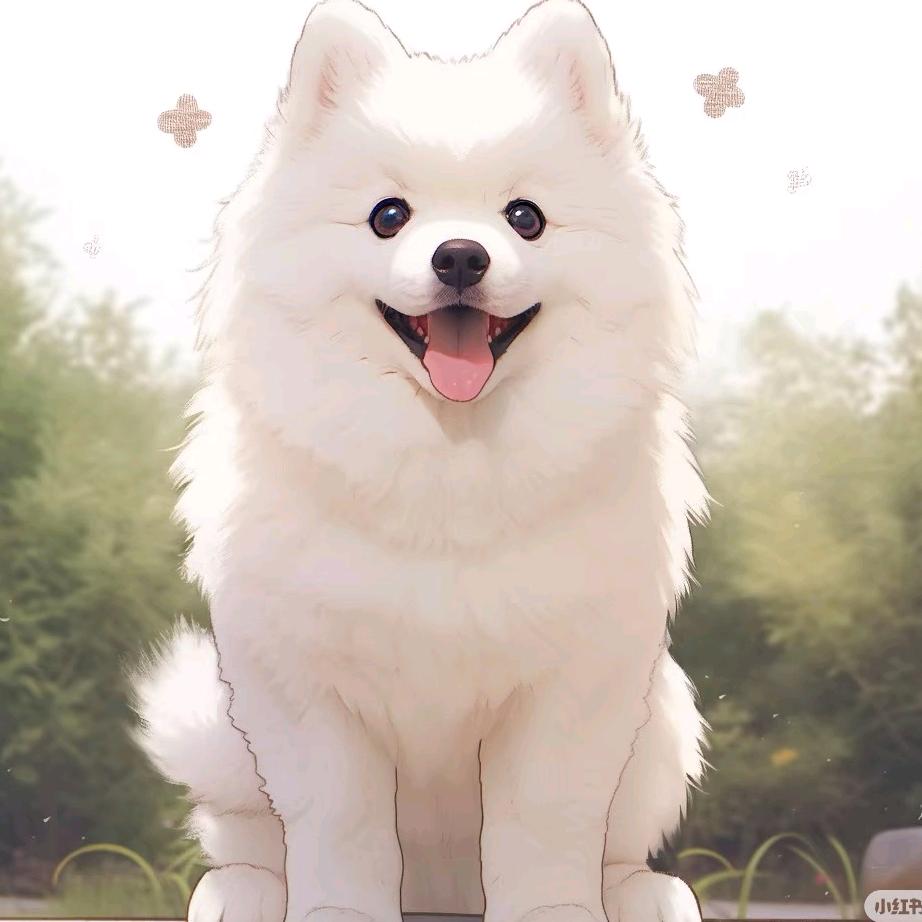 萨摩耶耶🐶