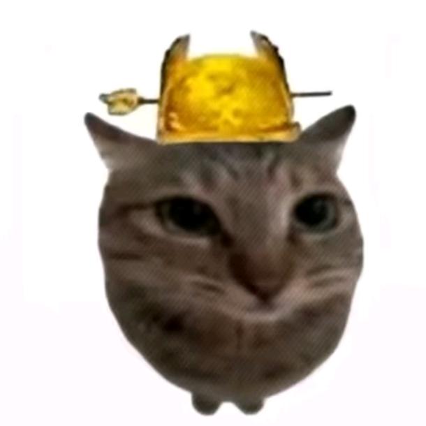 在沙漠里卖游泳圈还打十折