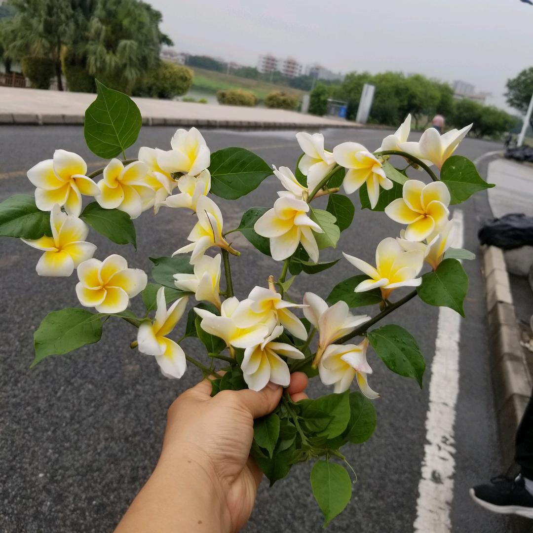 芸芸众生之~啊云儿