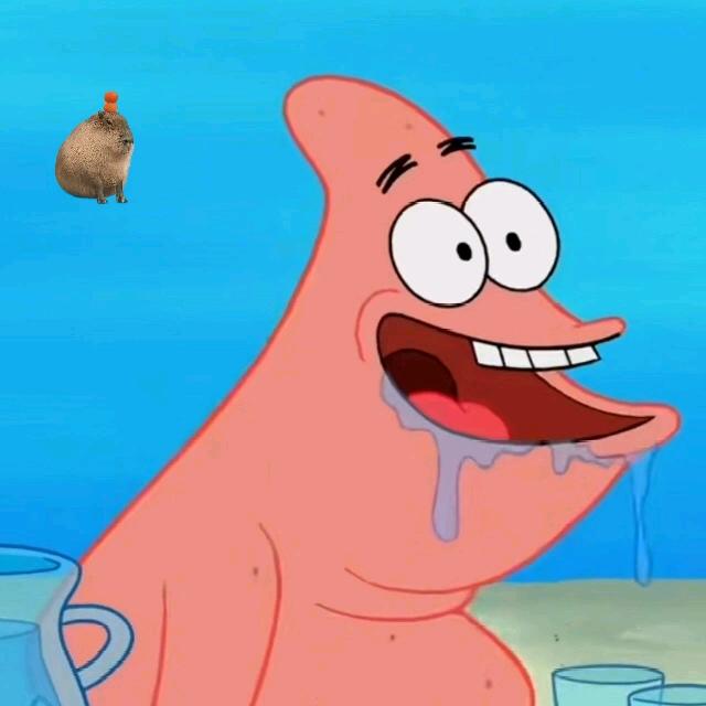 派大星一点都不笨只是单纯的蠢