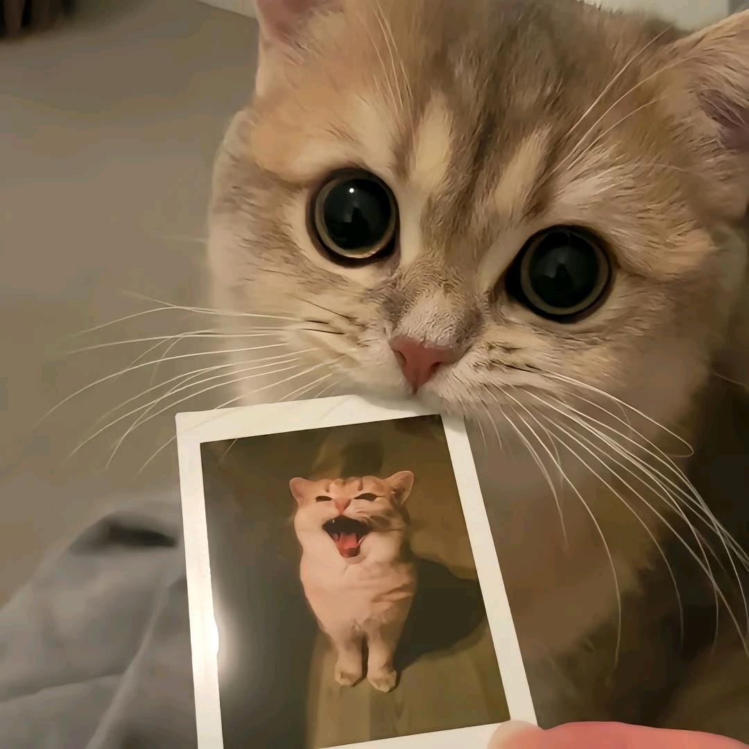 味