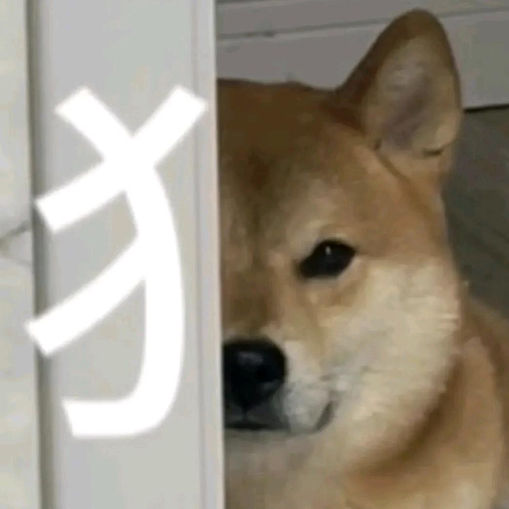 皮蛋solo粥😊