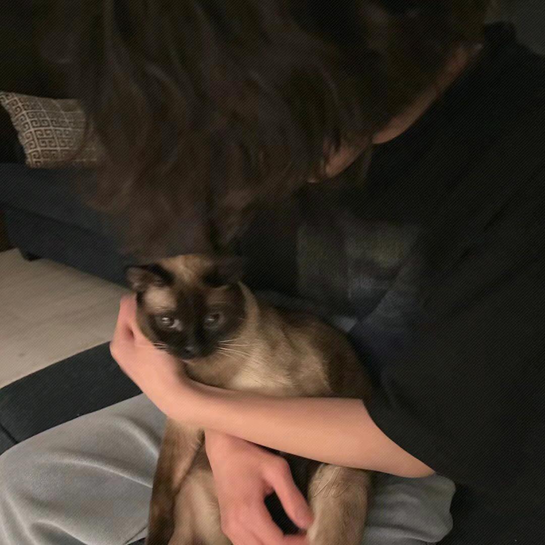 小凡