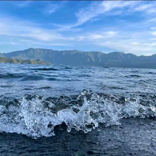 飞鸟爱上了☯鱼