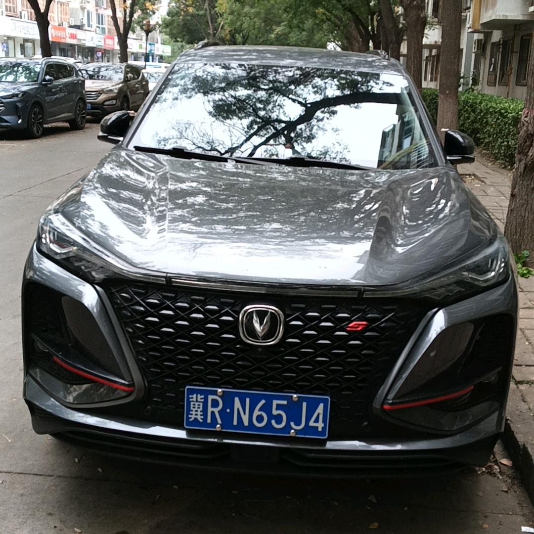 张东北
