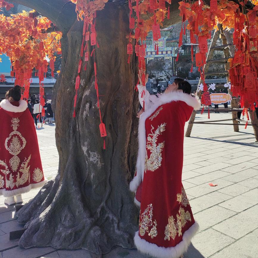 高铁南站苗木基地0813，