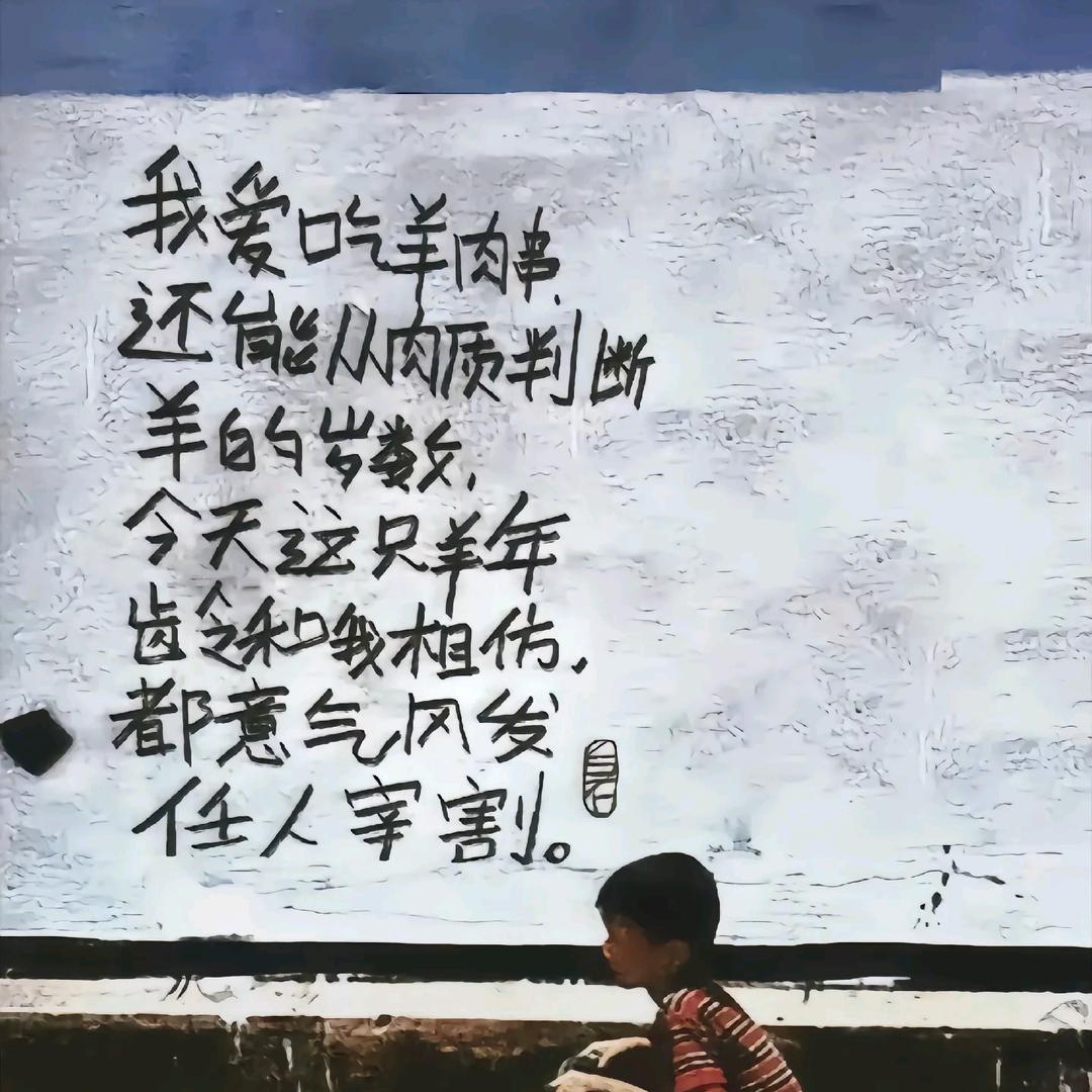 自由的风