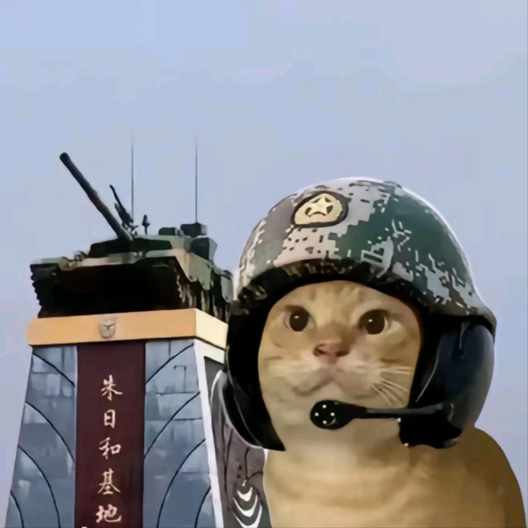 我真的服了