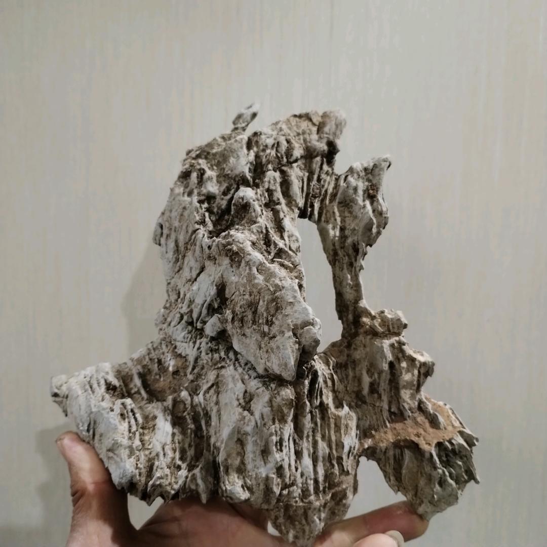 石林草堂（宿州卓祥龙）