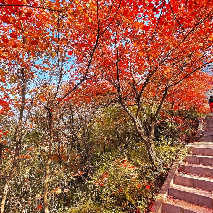 @邓建宏