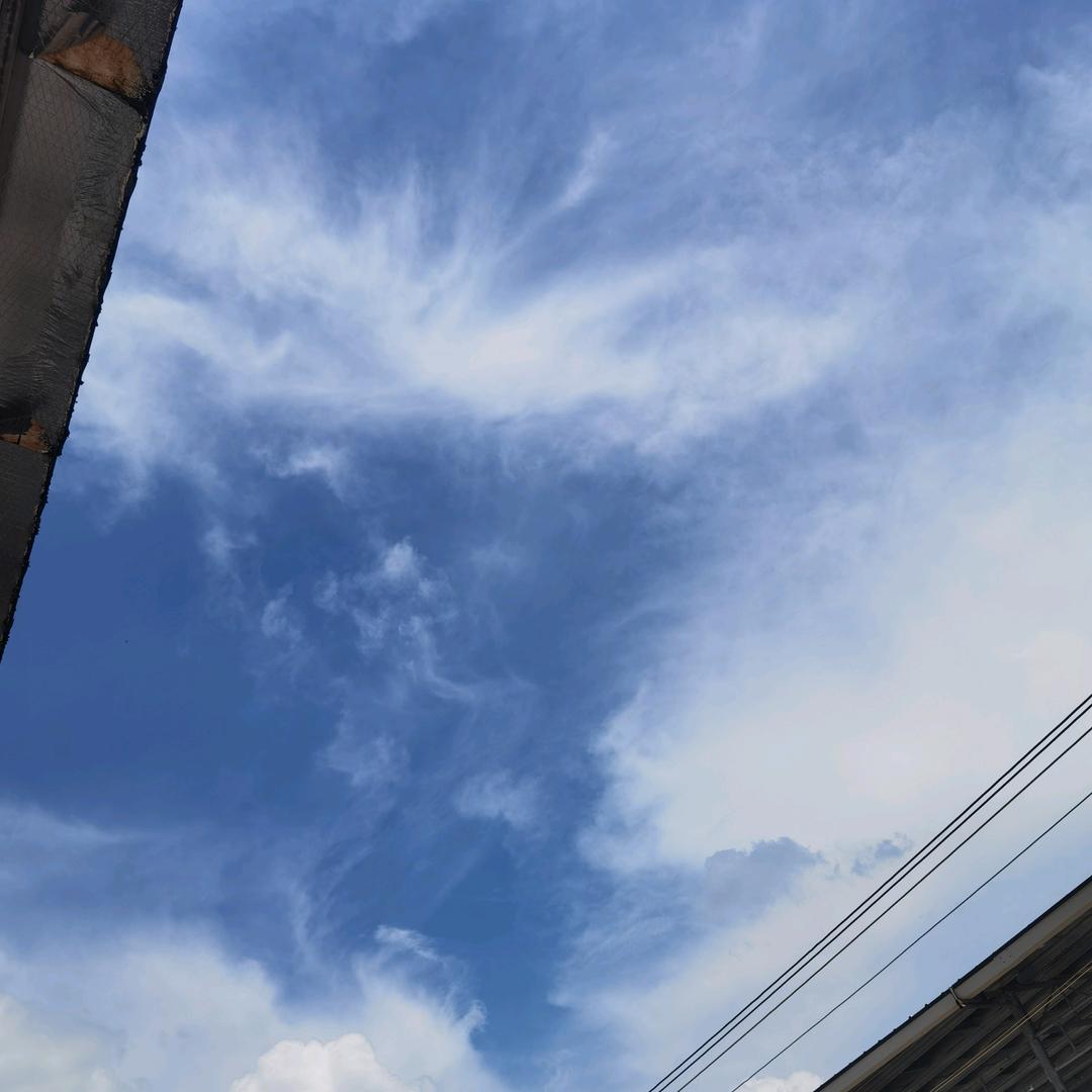 玉林市万宝腻子粉厂