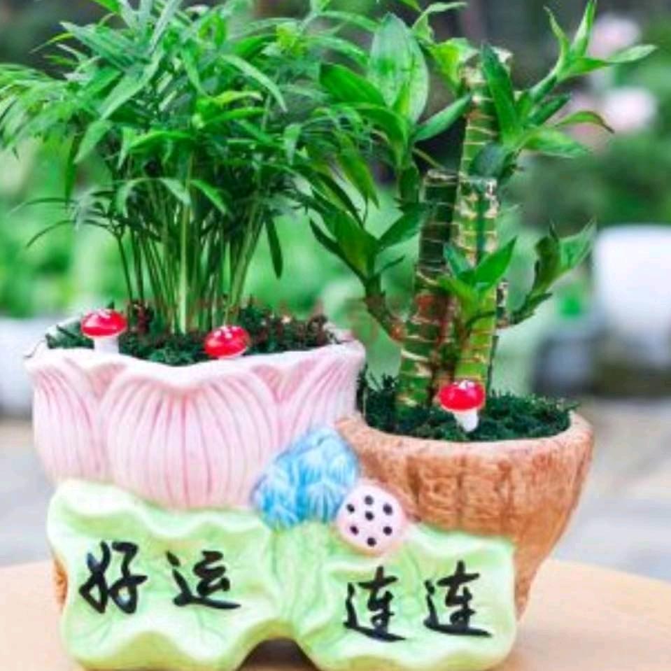 快乐每一天