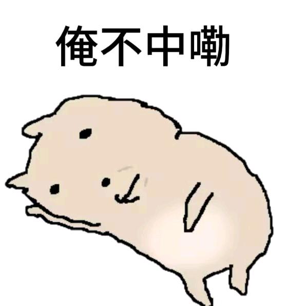 已为您调整至综艺频道