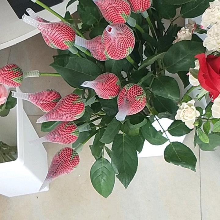 单身相信自己。