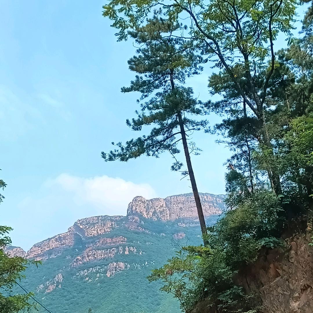 云中鹤
