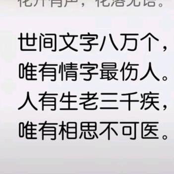 ㅤㅤ  ㅤㅤ  ㅤㅤ