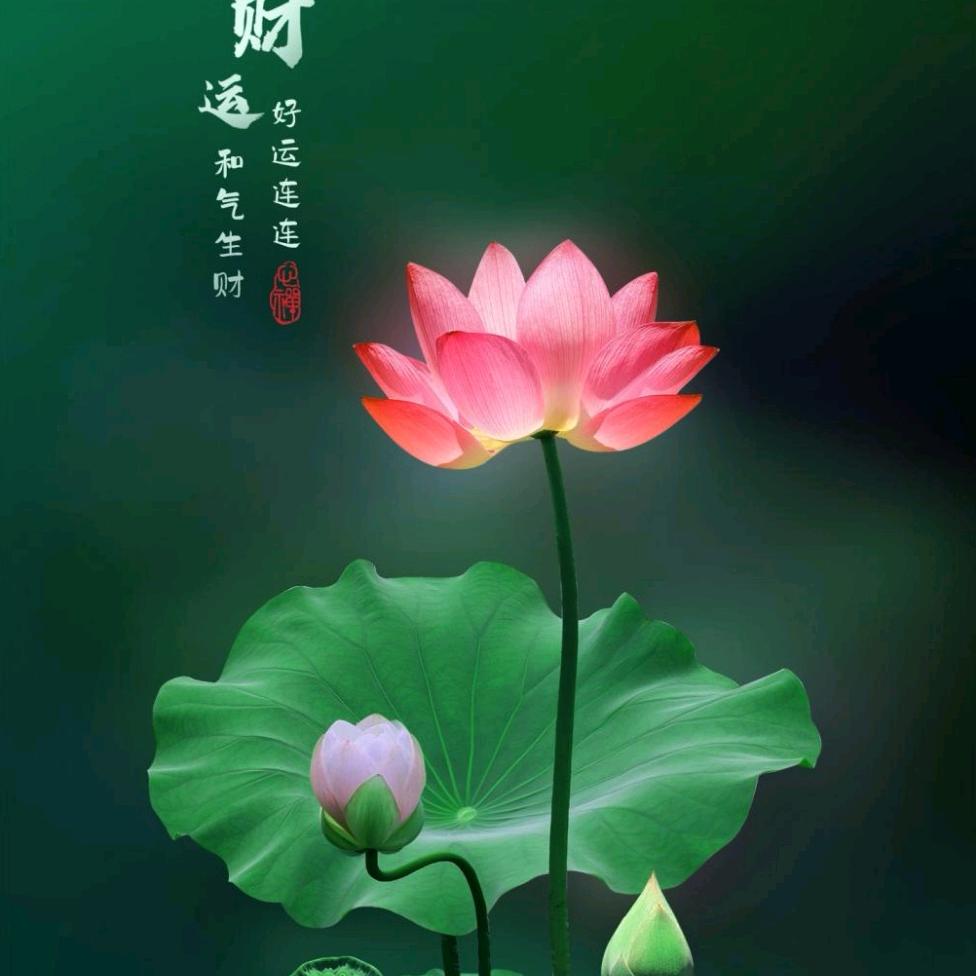 🌈灵动小铃铛2🔔