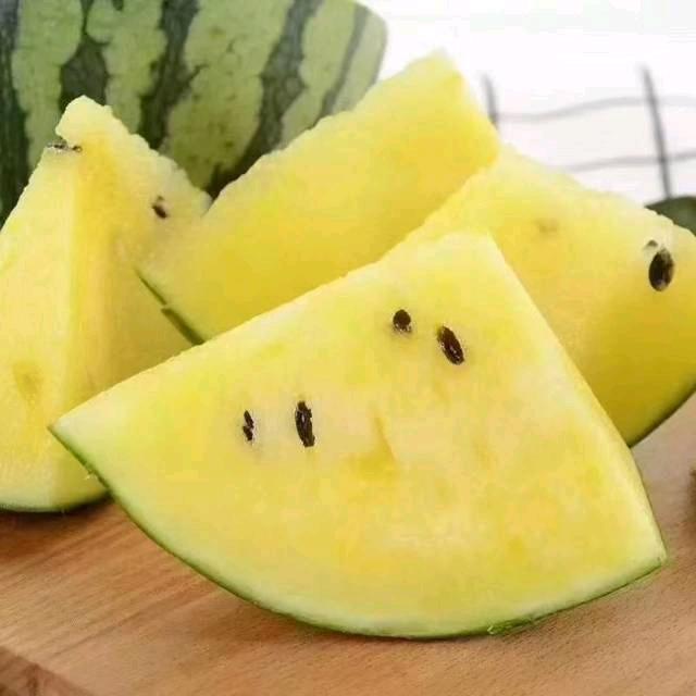 年年有鱼
