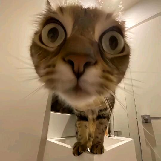 哦..