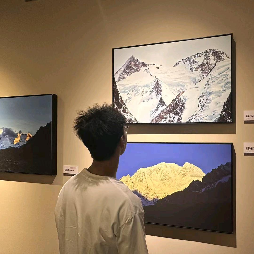 知鸥