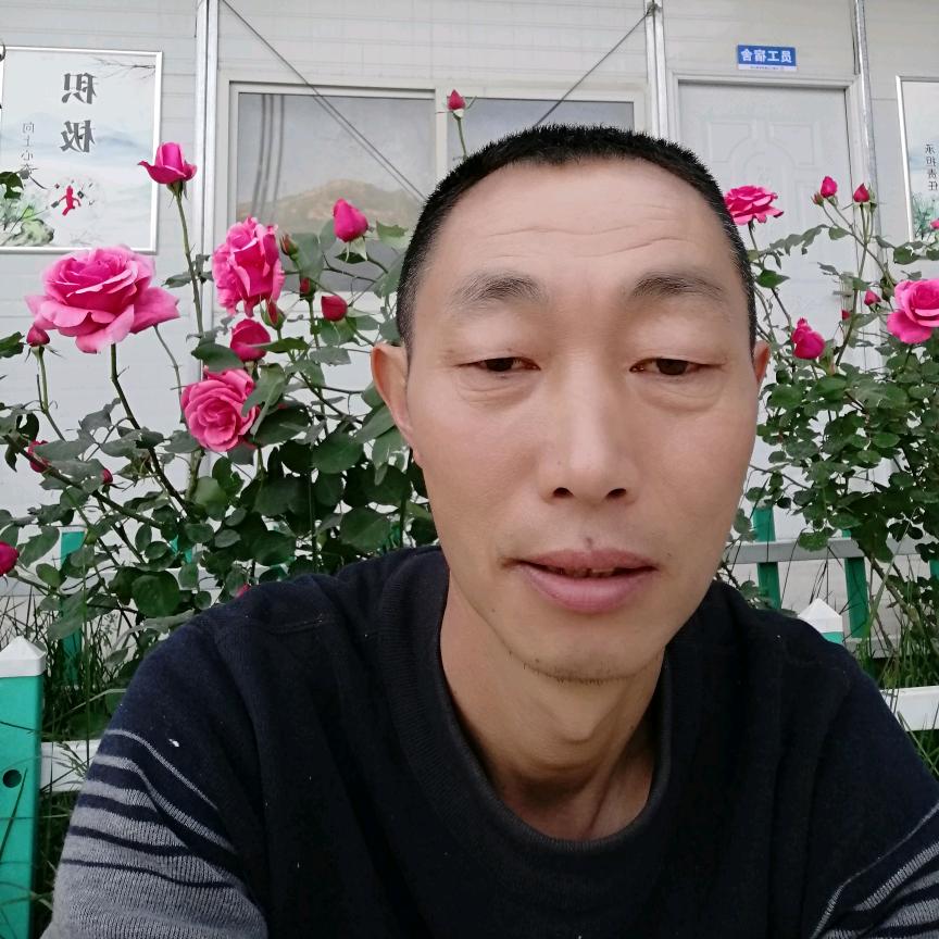 时落年华
