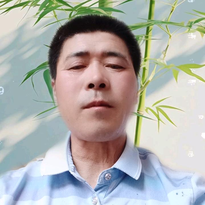 招财进宝