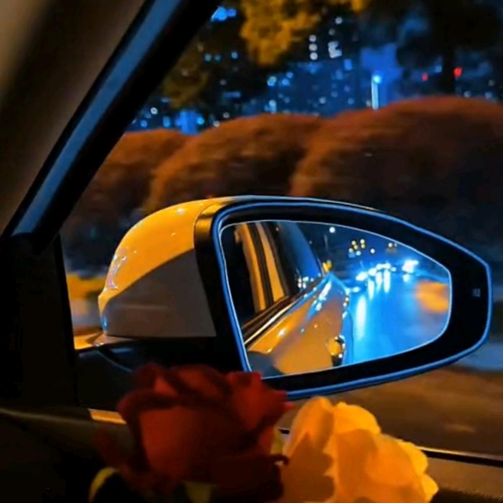 🎉墨♥(｡￫v￩｡)♥殇