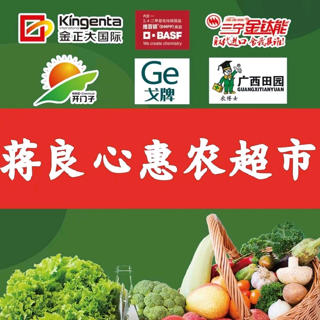 砀山蒋良心