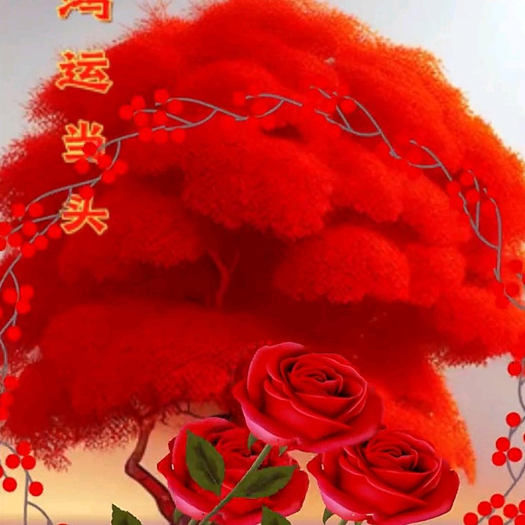 （光脚）A心如止水