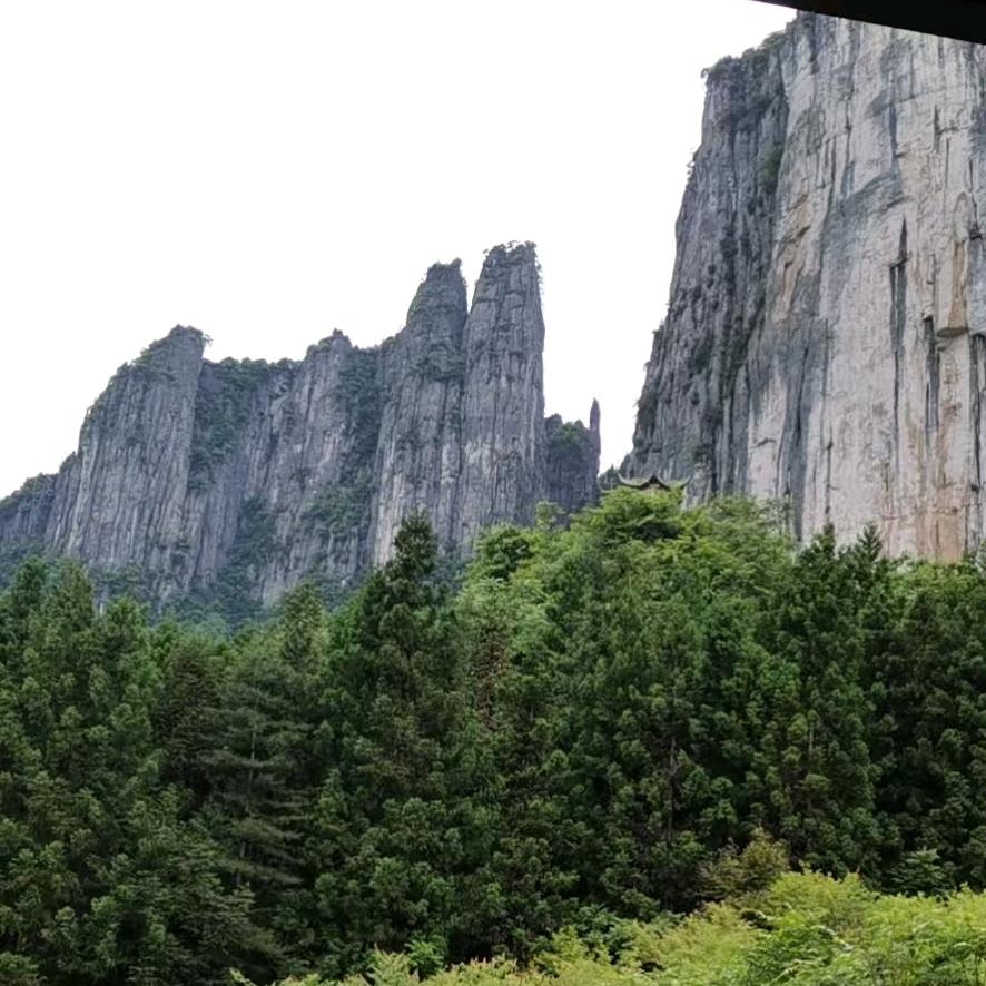 随缘