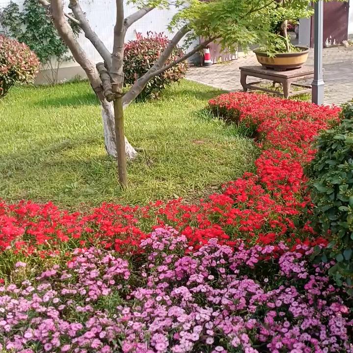 珍惜眼前