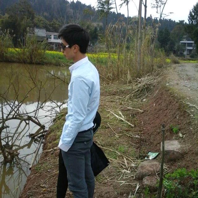 枫叶