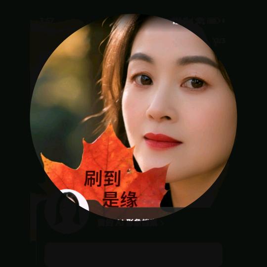 琴非得已〈拒私聊〉