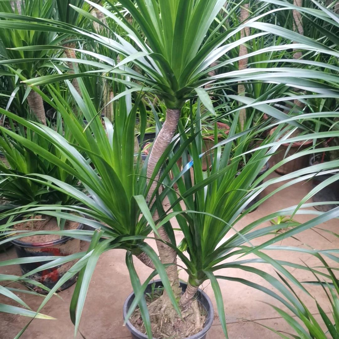 站在海边看风景