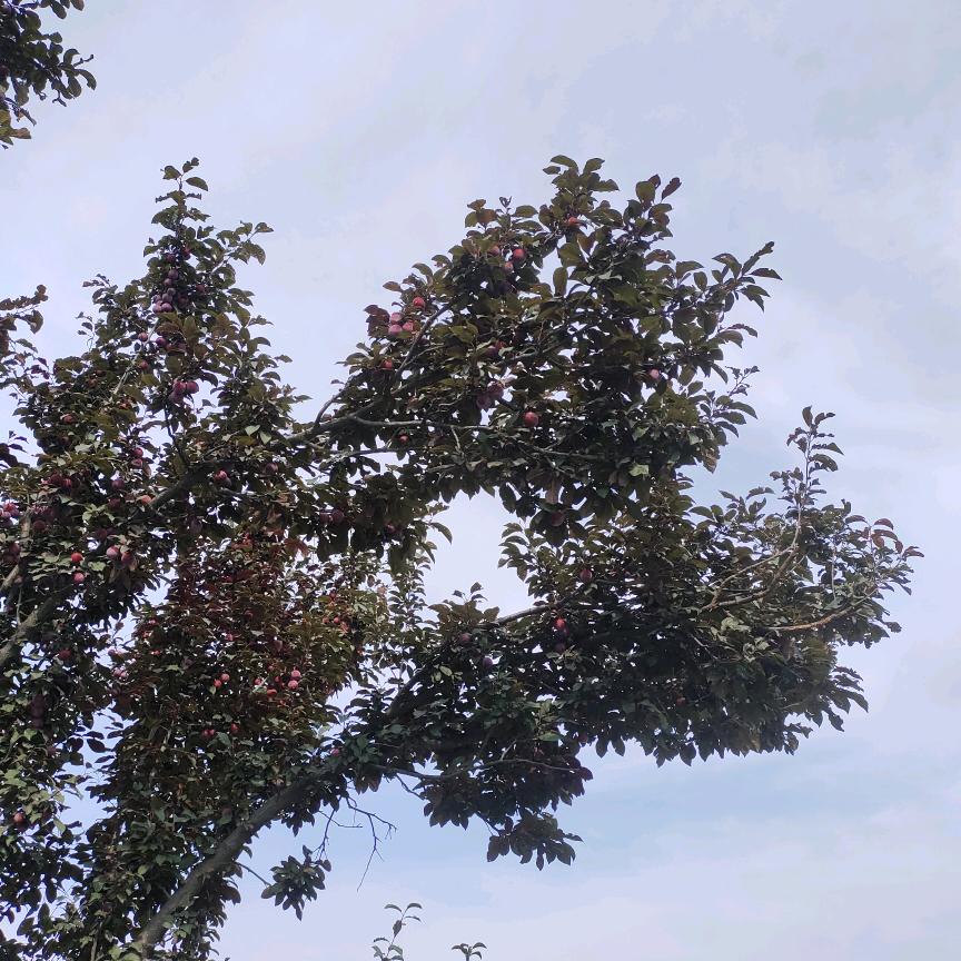 珍惜生命，保护自我！