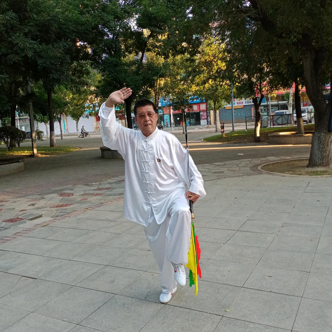 鸿武太极拳-王友